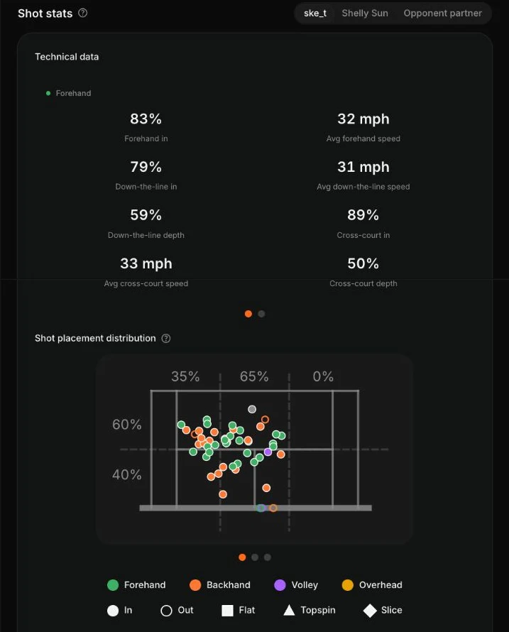 Web match report technical data and shot placement distribution
